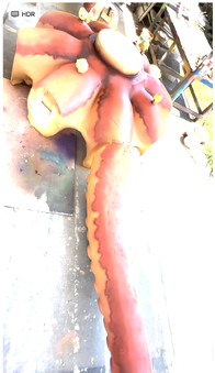 Enlarge photo 21
