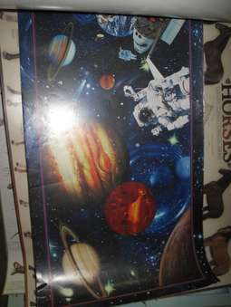 Enlarge photo 95