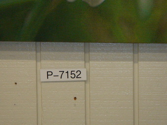 Enlarge photo 115