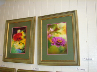 Enlarge photo 117
