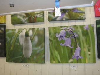 Enlarge photo 56