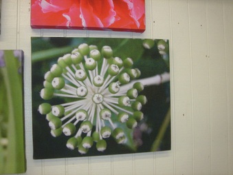Enlarge photo 57