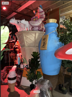 Enlarge photo 19