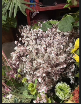 Enlarge photo 37