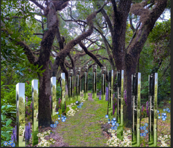 Enlarge photo 43