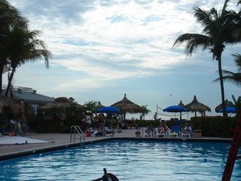 Enlarge photo 64