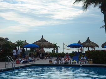Enlarge photo 65