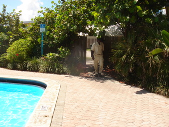 Enlarge photo 26