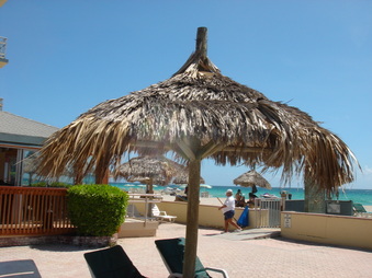 Enlarge photo 33