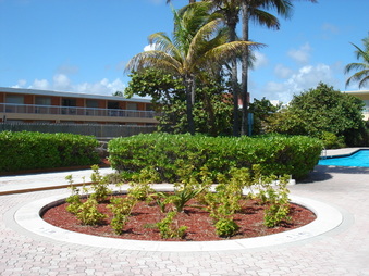 Enlarge photo 48