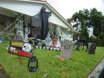 Enlarge photo 20