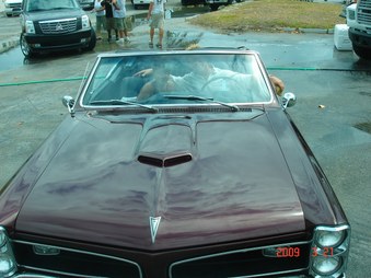 Enlarge photo 15