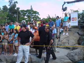 Enlarge photo 24