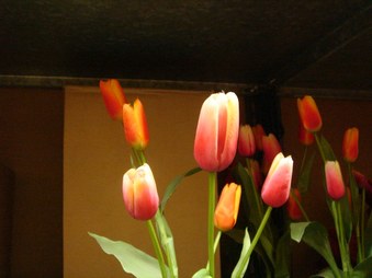 Enlarge photo 108