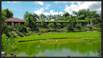 Enlarge photo 104