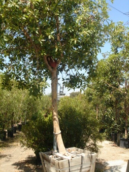 Enlarge photo 22