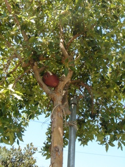 Enlarge photo 23