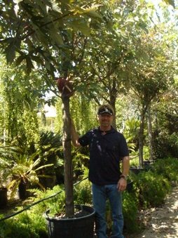 Enlarge photo 25