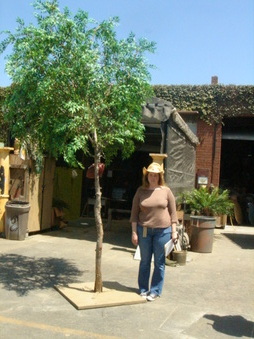 Enlarge photo 27