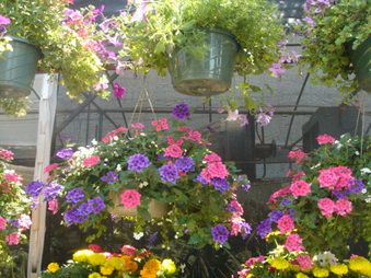 Enlarge photo 31
