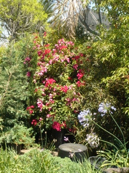 Enlarge photo 34