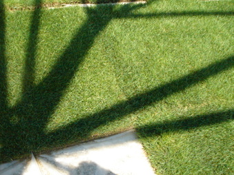 Enlarge photo 35
