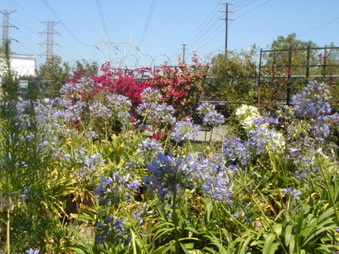 Enlarge photo 36