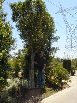 Enlarge photo 39