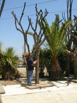 Enlarge photo 40