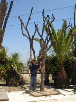 Enlarge photo 41