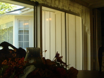 Enlarge photo 174
