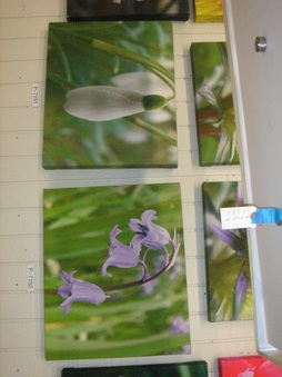Enlarge photo 115