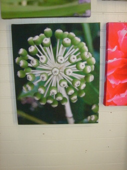Enlarge photo 116