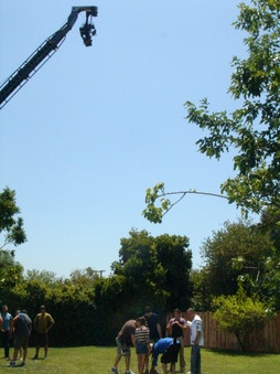 Enlarge photo 158