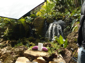 Enlarge photo 82