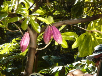 Enlarge photo 86