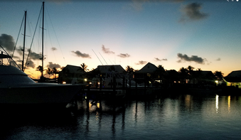 Enlarge photo 121