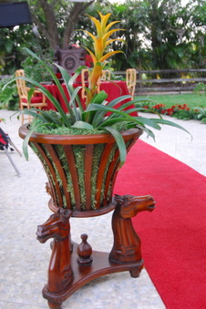 Enlarge photo 34