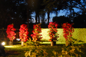 Enlarge photo 28