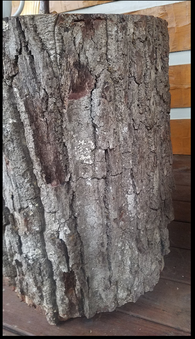Enlarge photo 32