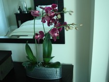Enlarge photo 25