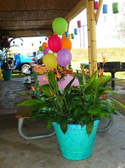 Enlarge photo 15