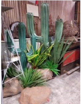 Enlarge photo 8