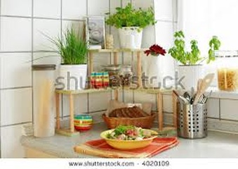 Enlarge photo 53