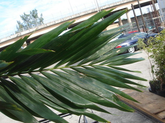 Enlarge photo 14