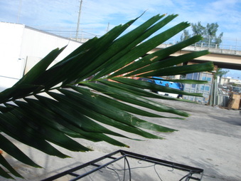 Enlarge photo 16