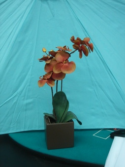 Enlarge photo 49