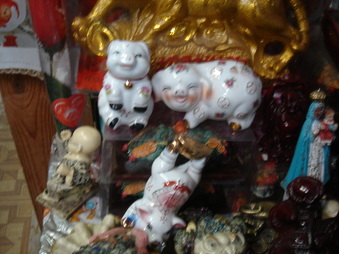 Enlarge photo 193