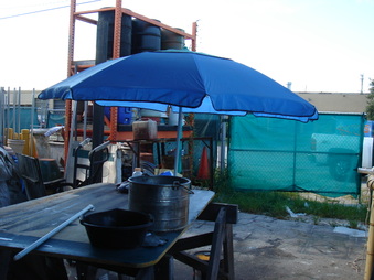 Enlarge photo 347
