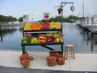 Enlarge photo 117